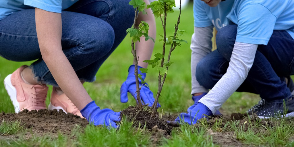 Plant a native tree or shrub! 🌳🌲🏡 We are now accepting orders for our annual spring native tree and shrub sale. Visit our website for price and order details: gravenhurst.ca/treeorders Orders due May 1