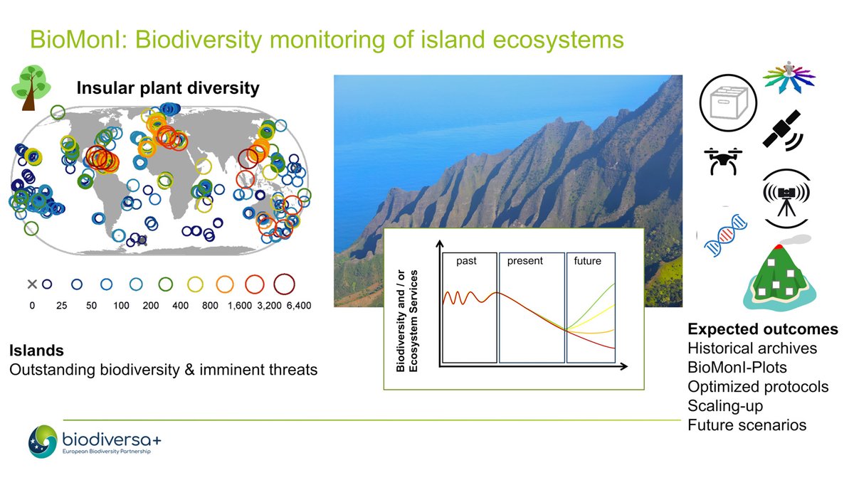 Aiming at a global long-term monitoring of oceanic island biodiversity, #BioMonI will use existing data on EBVs and EESVs to establish standardised protocols, conduct targeted resurveys, and scale up data using remote sensing and macro-ecological modelling. #BiodivMonTallinn