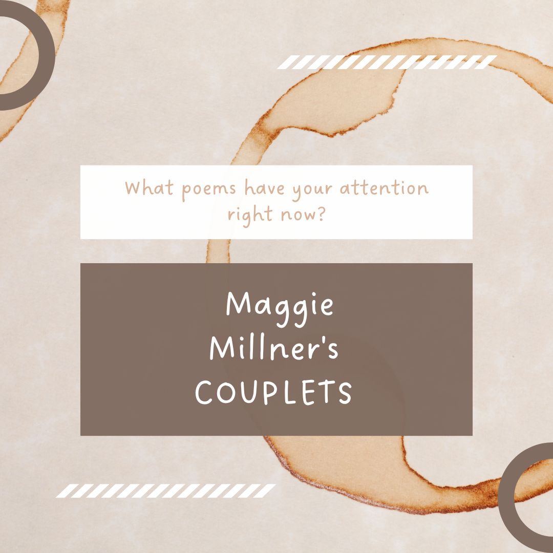 Persea Books tweet media