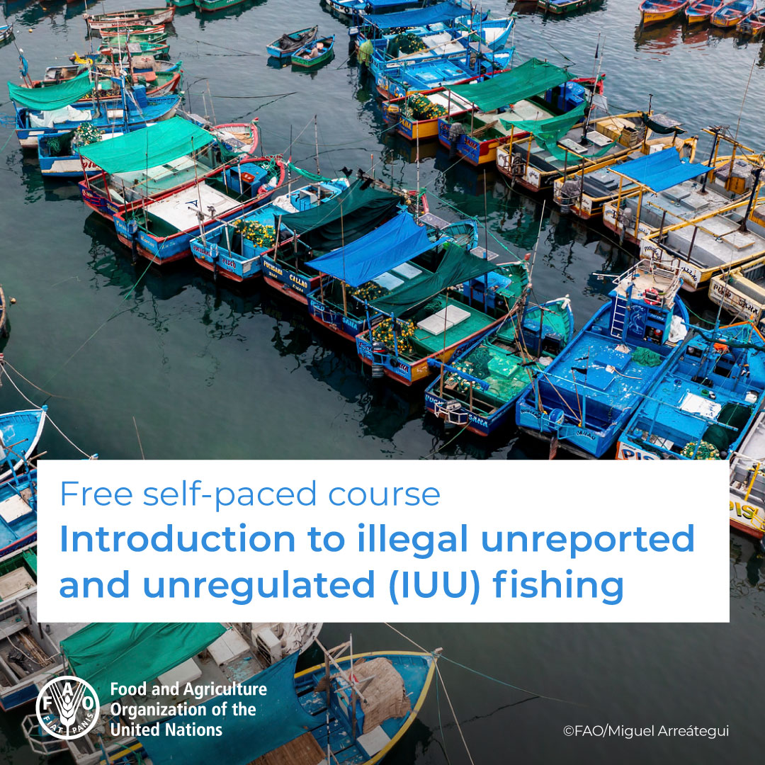 🎓 Free self-paced course! 🐟🐠🐡 ⚓ Introduction to Illegal, Unreported and Unregulated (IUU) Fishing Register now! ➡️ bit.ly/3qPEkdV @FAOfish #BlueTransformation #IYAFA2022 #FightIUUFishing