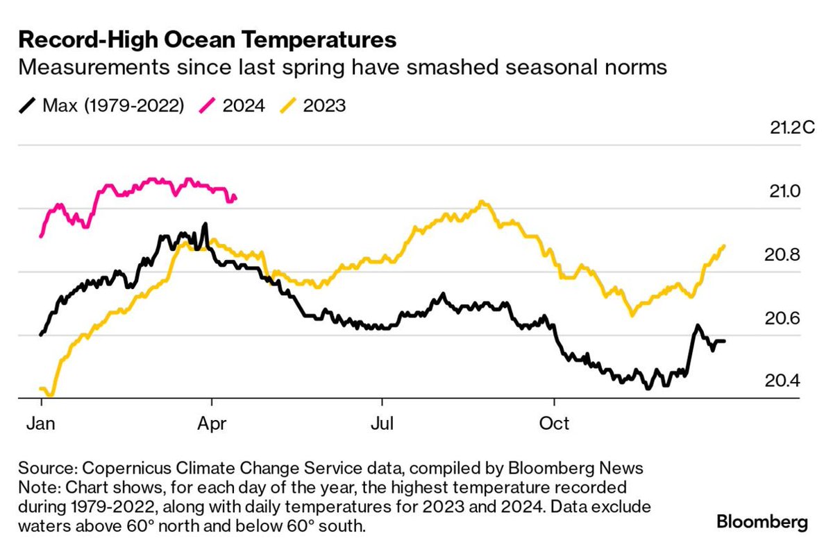 Corals send an SOS. Bloomberg Green.