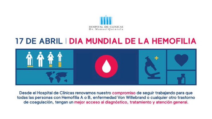 El 17 de abril es el Día mundial de la Hemofilia. Debemos continuar trabajando para que todas las personas –con hemofilia A o B, enfermedad de Von Willebrand o cualquier otro trastorno de la coagulación– tengan un mejor acceso al diagnóstico, tratamiento y atención integral.
