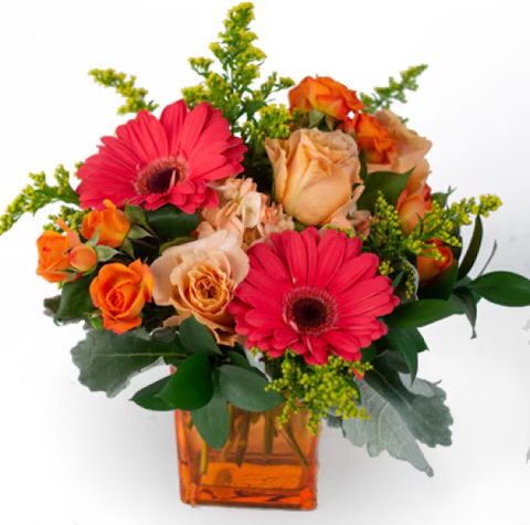 Gift a touch of color & a lot of appreciation next week to your Administrative Professionals!
Light up their desk with a vibrant bouquet with our 'Coral Charm,' & shower them with thanks!🌹😊

✨MahersFlorist.com
#adminweek #thankyouflowers #mahersflorist #pasadenaflorist
