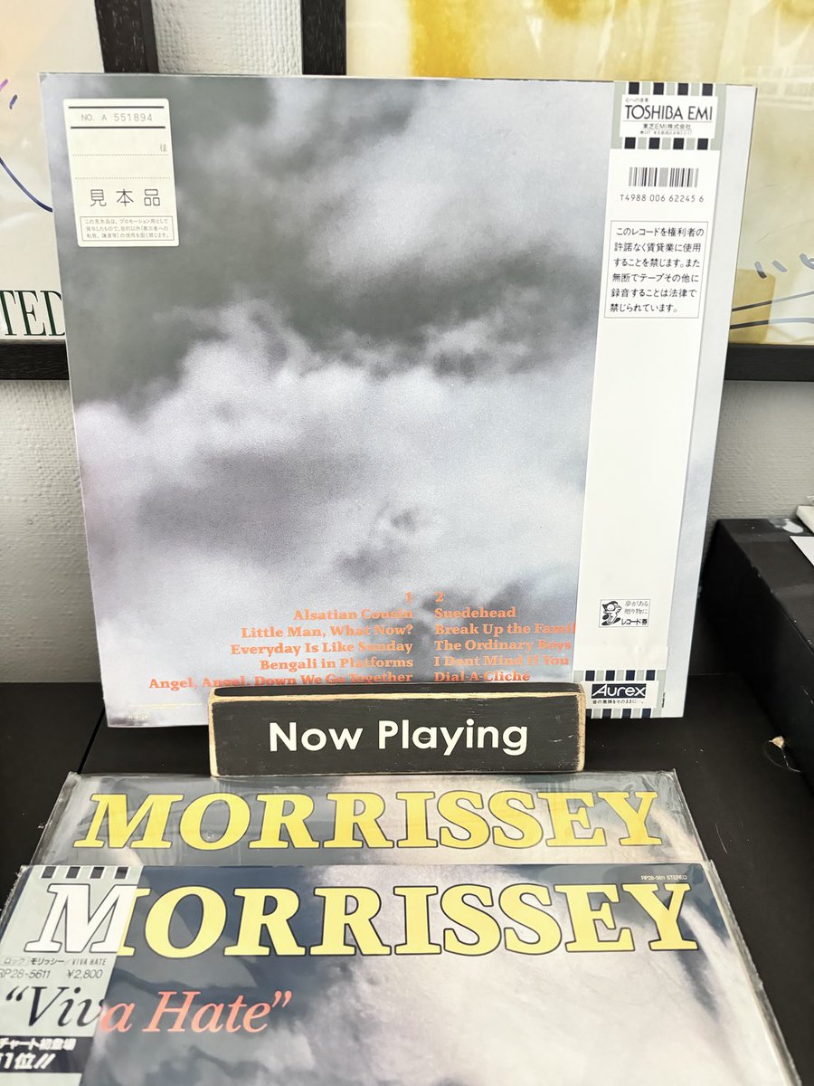 #VivaHate #Morrissey Japanese versions Inc the standard, promo  and the copy that didn’t come with an obi. Things of beauty. Not a bad LP either 💙🇯🇵🎌🏯