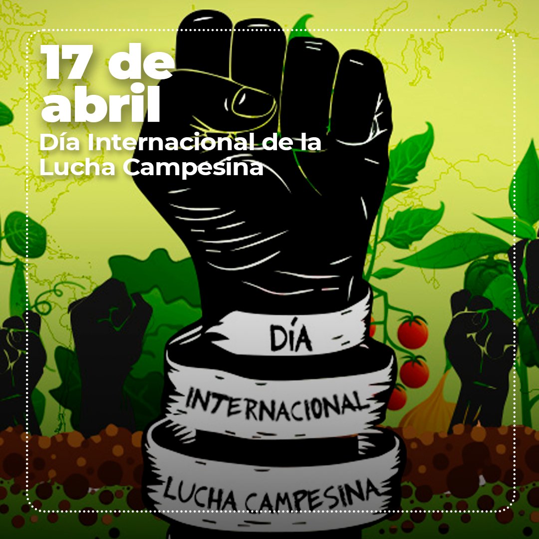 En el Día Internacional de las Luchas Campesinas, celebramos al pueblo campesino venezolano, hombres y mujeres cuyo trabajo y dedicación ha sido clave para avanzar en la soberanía alimentaria en medio de la agresión imperialista. A ellos y ellas , nuestro agradecimiento e…
