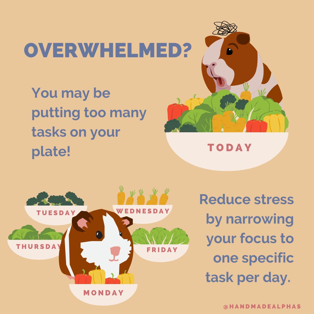 Feeling overwhelmed? 🤯 It might be time to declutter your to-do list! Simplify your day by focusing on just one specific task at a time.
Remember: Less stress = more progress! 🌟

#ProductivityTips #StressFree #TimeManagement #EtsySellers #HandmadeAlphas #EtsyTips