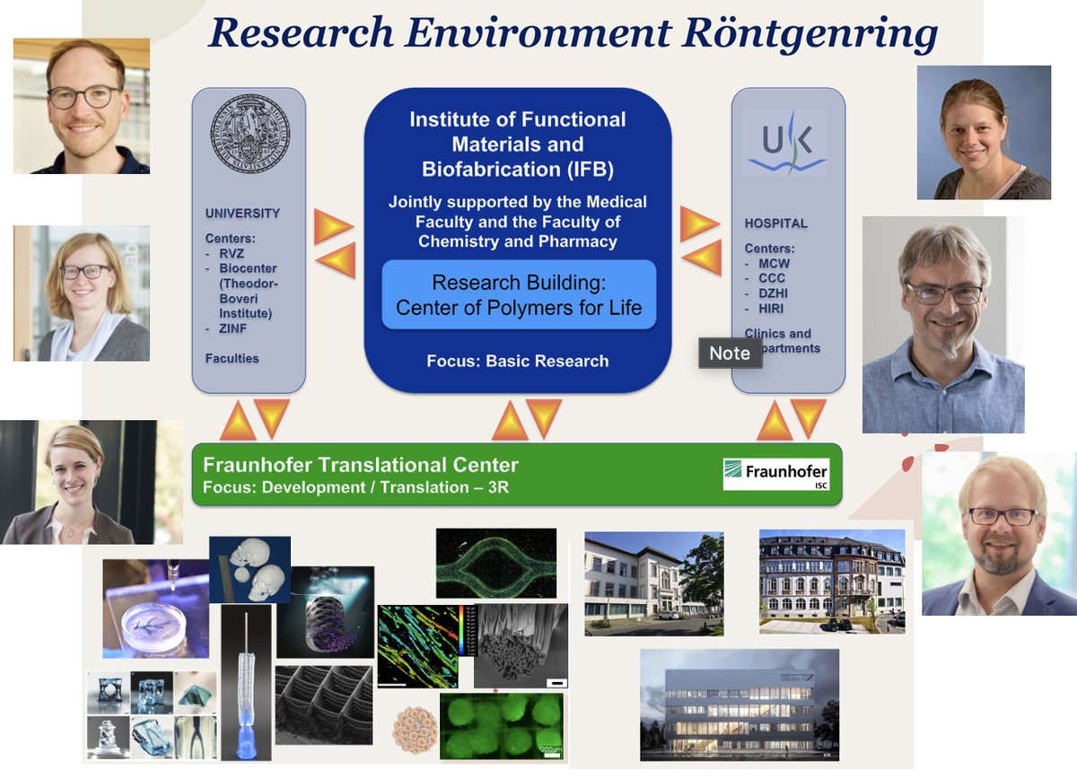 Today we had the pleasure of hosting the Joint Seminar of all groups from @Uni_WUE and @Uniklinikum_Wue working in the Röntgenring building. Great opportunity to share science, skills and make new friends. Building the future is fun! @NuhnLab @IZKF_TissueReg @Fraunhofer_ISC