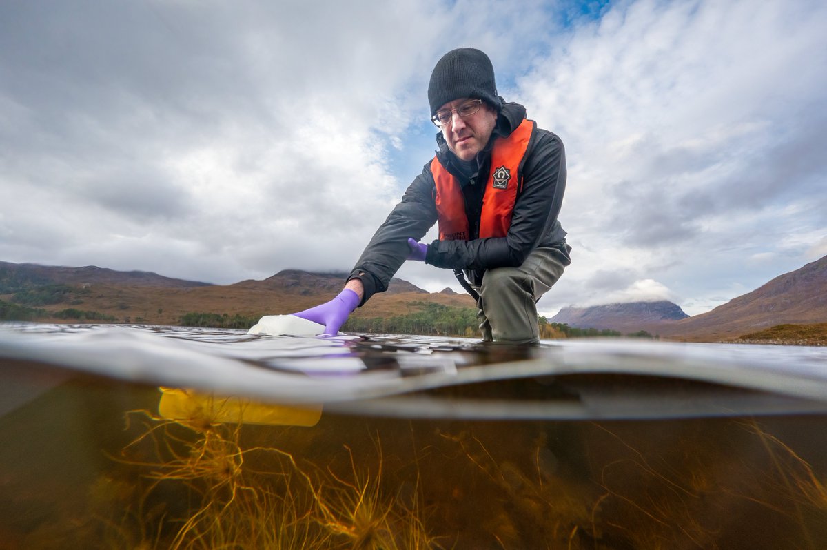 Fully funded PhD opportunity➕'Multi-stressor interactions in the context of beaver-mediated recovery of natural processes within riparian habitats” @UHI_IBFC based in #Inverness @UHI_Inverness: bit.ly/4cTjDn6 #ThinkUHI @NERCscience