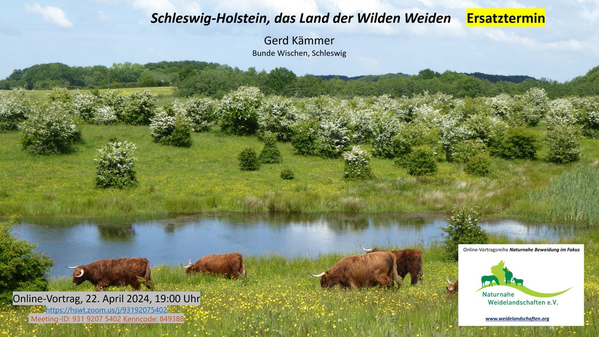 Hier gibt es den Ersatztermin für den Vortrag über die Wilden Weiden von Schleswig-Holstein von @GerdKammer. Kann gerne weiterverschickt werden. Wer möchte, kann sich bei mir in den Verteiler eintragen lassen. Weiter geht es dann erst im Oktober, wieder mit sehr spannenden Gästen