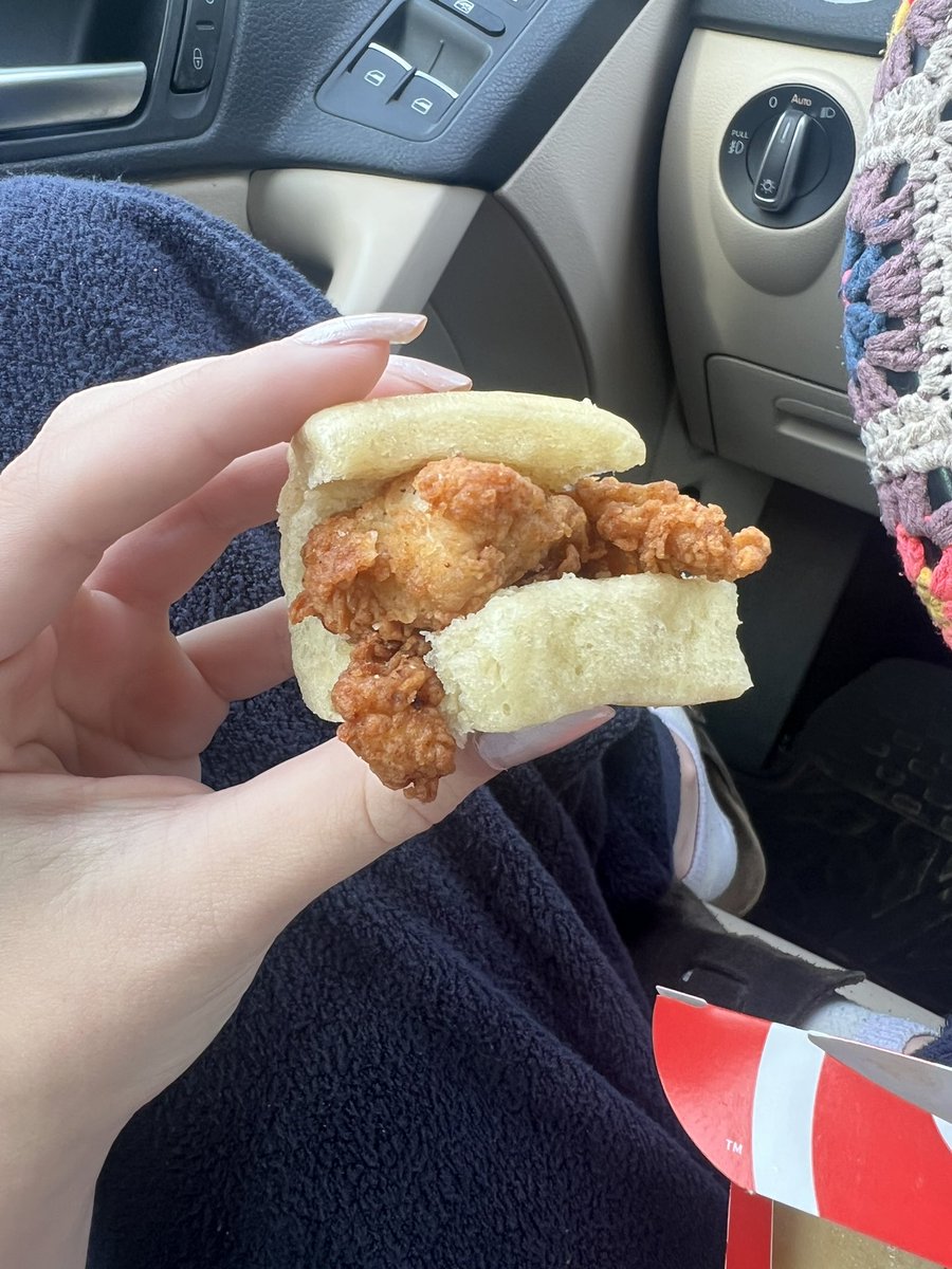 ooolaladracula's tweet photo. why does my chicken mini look like it’s trying to escape https://t.co/ERcRLgLwnk
