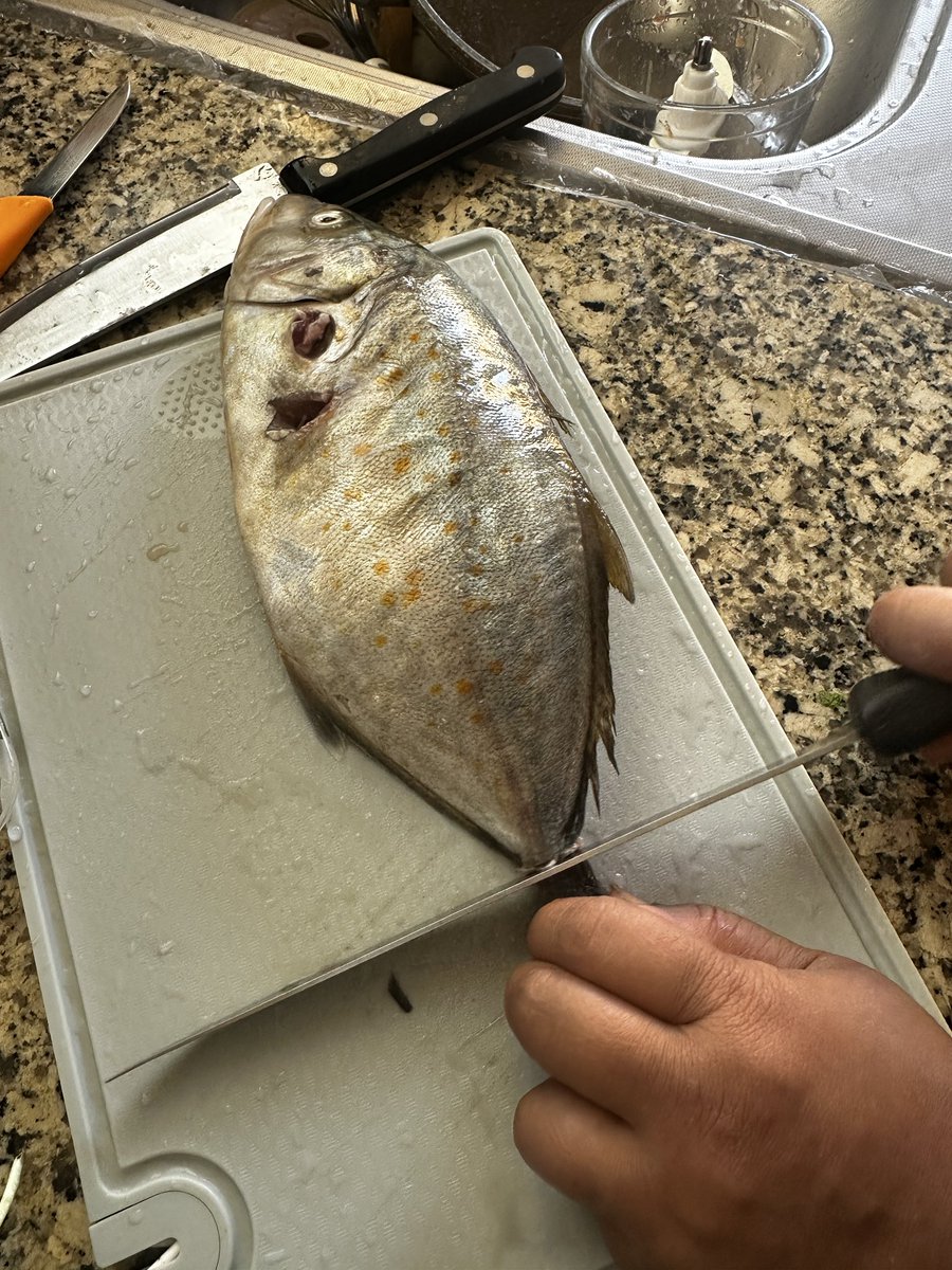 Cooking the remains of my spearfishing