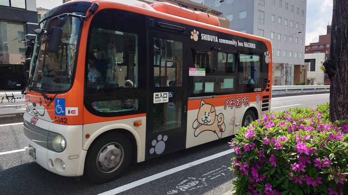 昨日，今日と久しぶりにハチ公くんが上原に来てくれました🐕

#渋谷区
#ハチ公バス
#京王バス