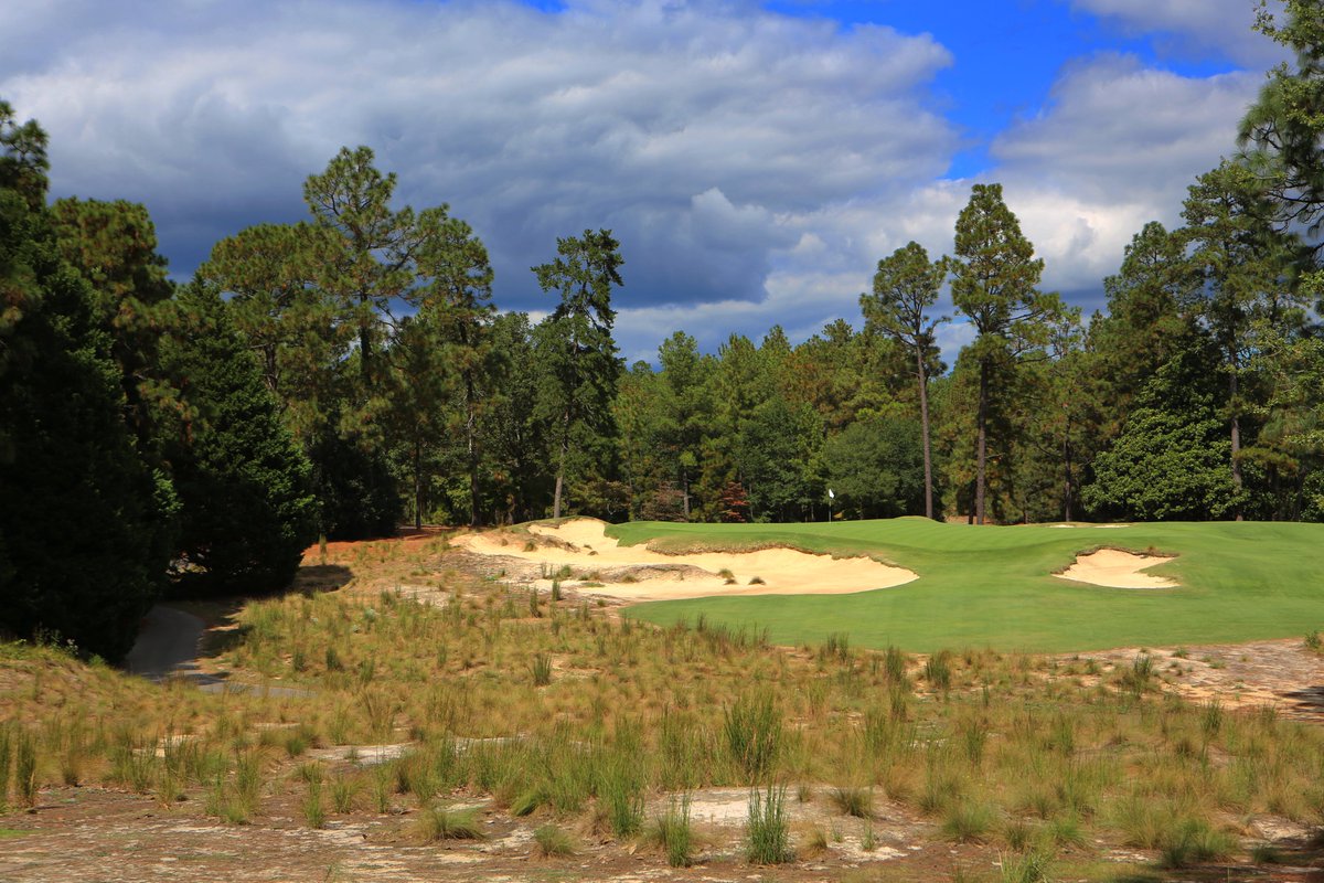 Pinehurst Resort tweet media