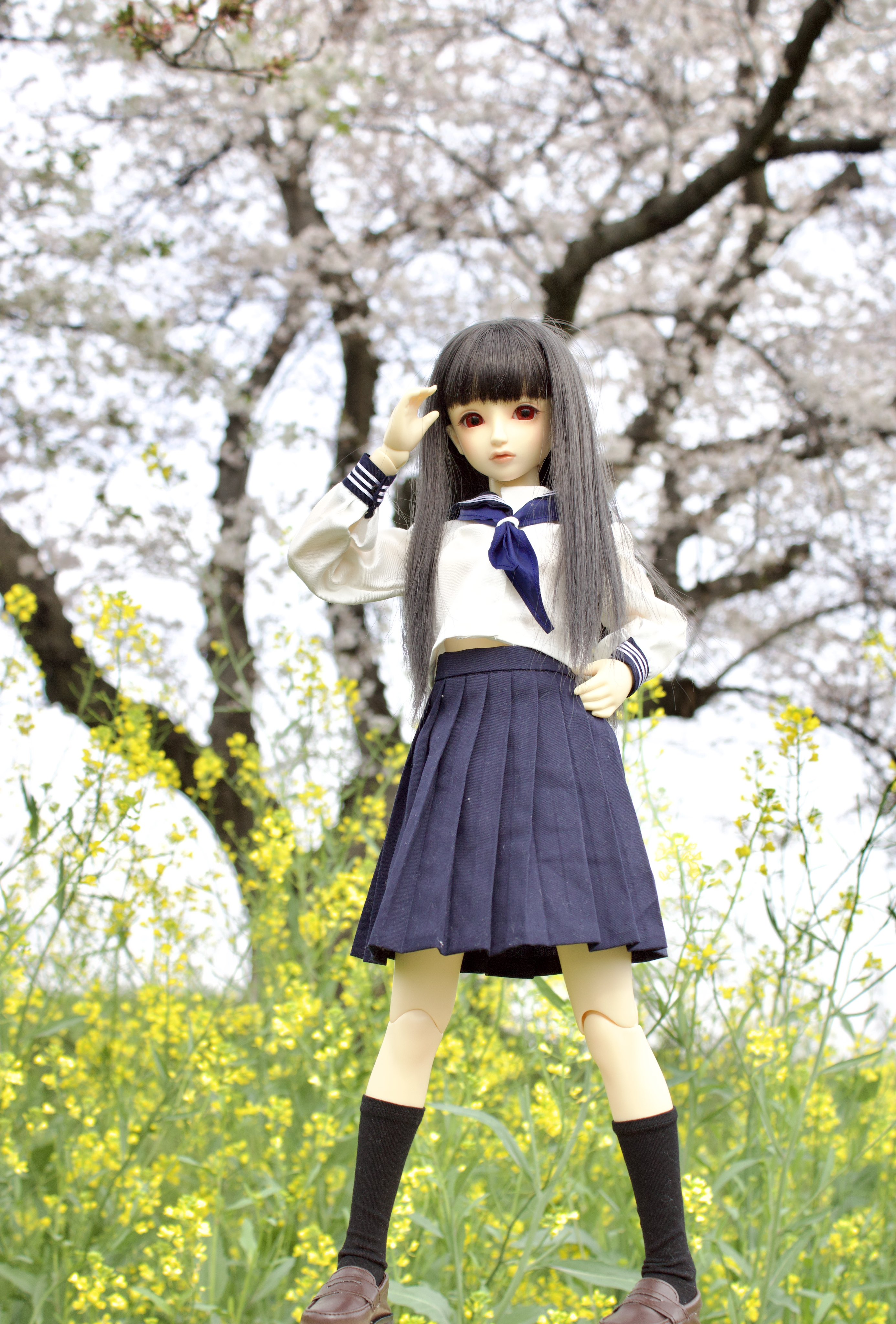 ドルフィン刑事 - Search / X