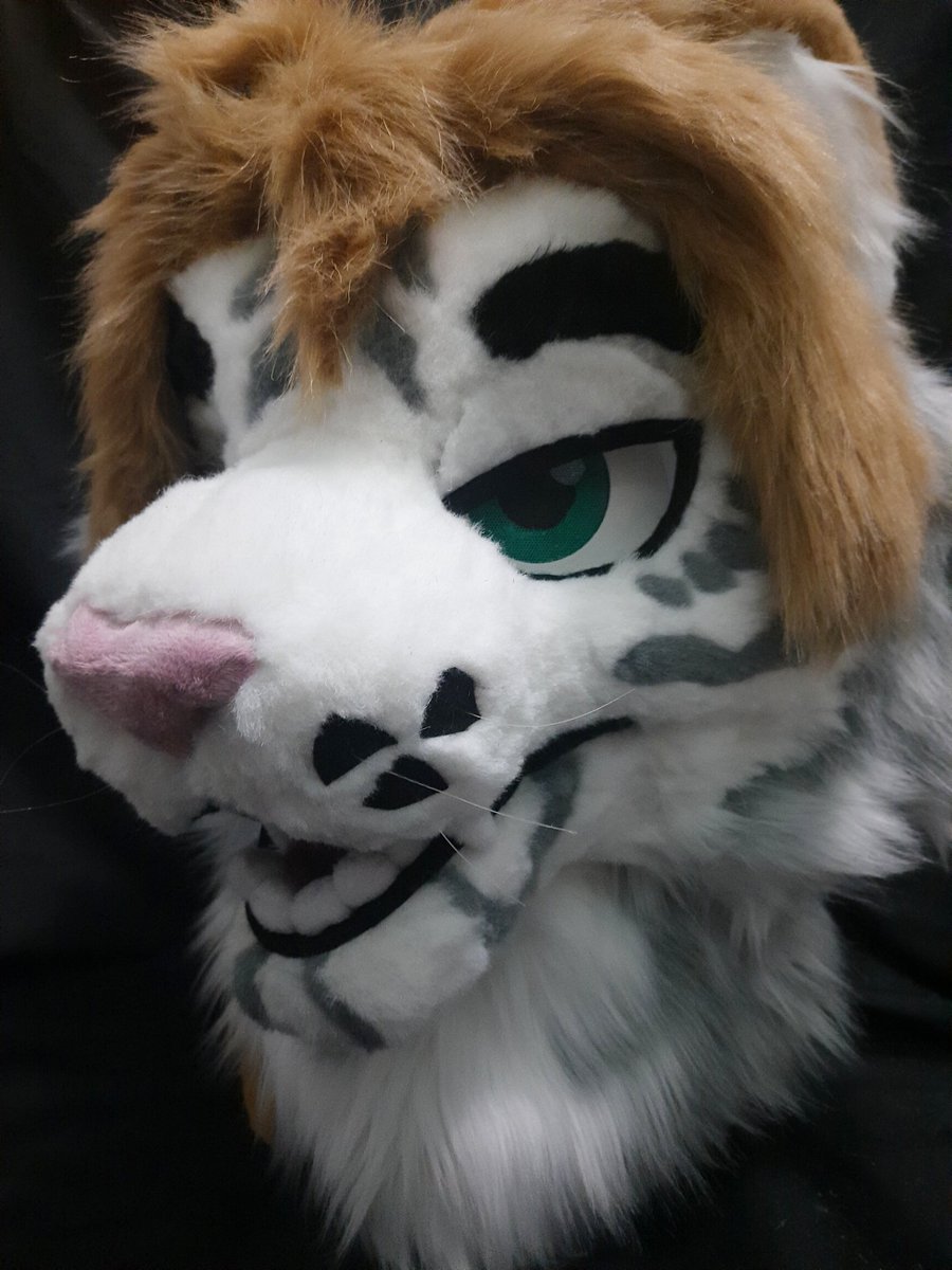 Vulpes_Paw Fursuit tweet media