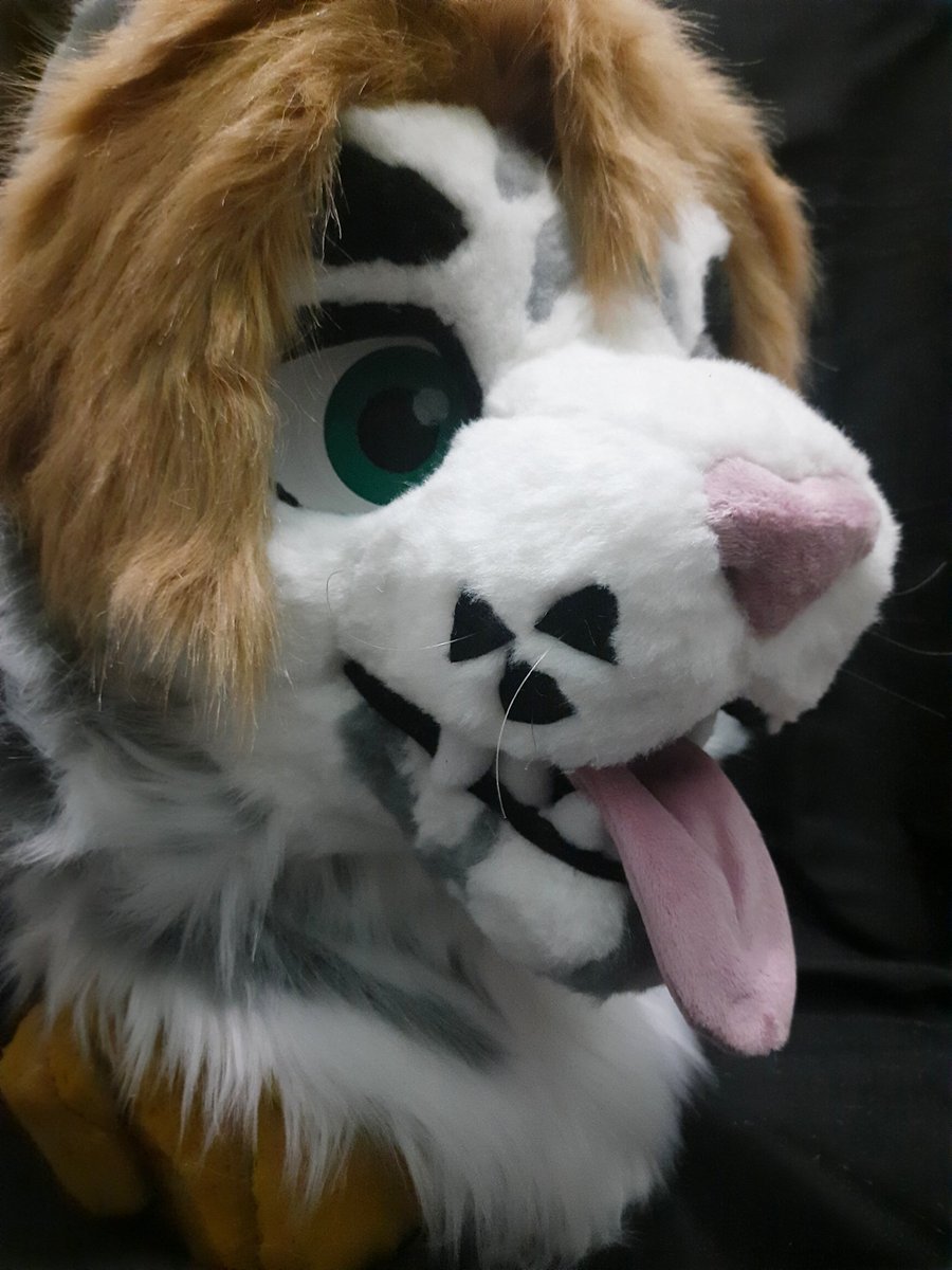 Vulpes_Paw Fursuit tweet media