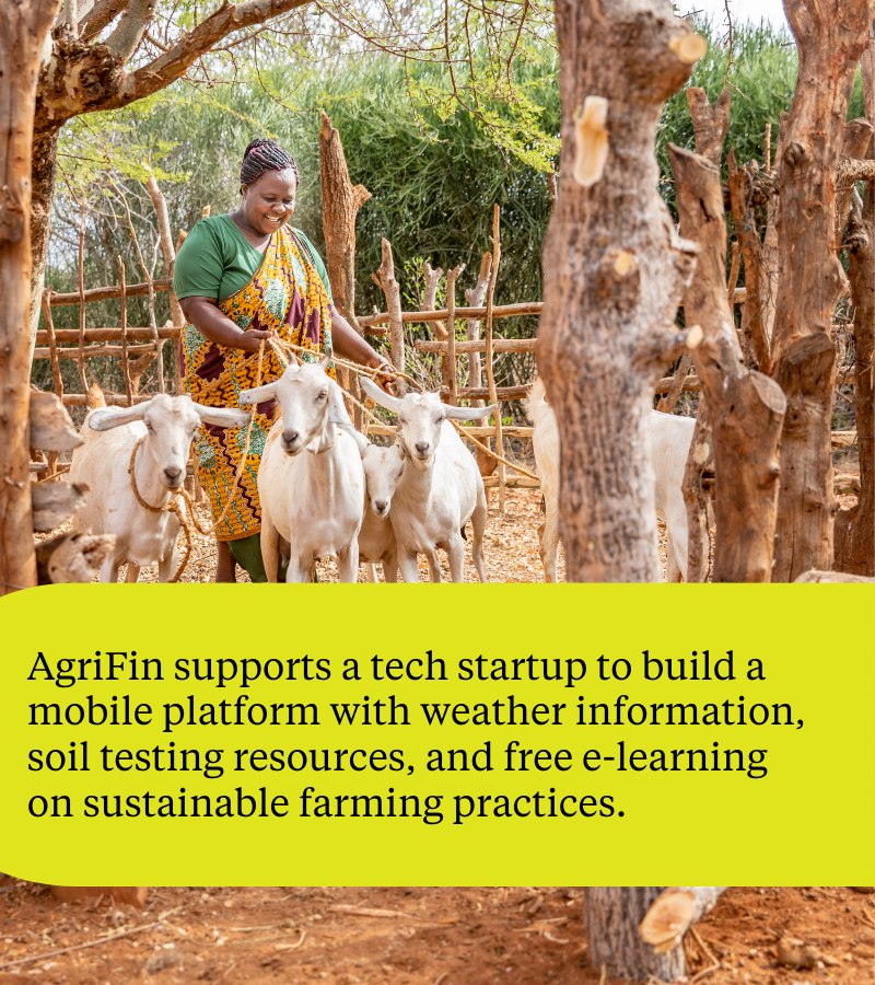 Did you know that smallholder #farmers feed one in three people worldwide but live on less than $2.50 a day?

Swipe to learn how our Agrifin programme uses digital technology, data and global partnerships to build a brighter future for smallholder farmers ➡️

#Farming