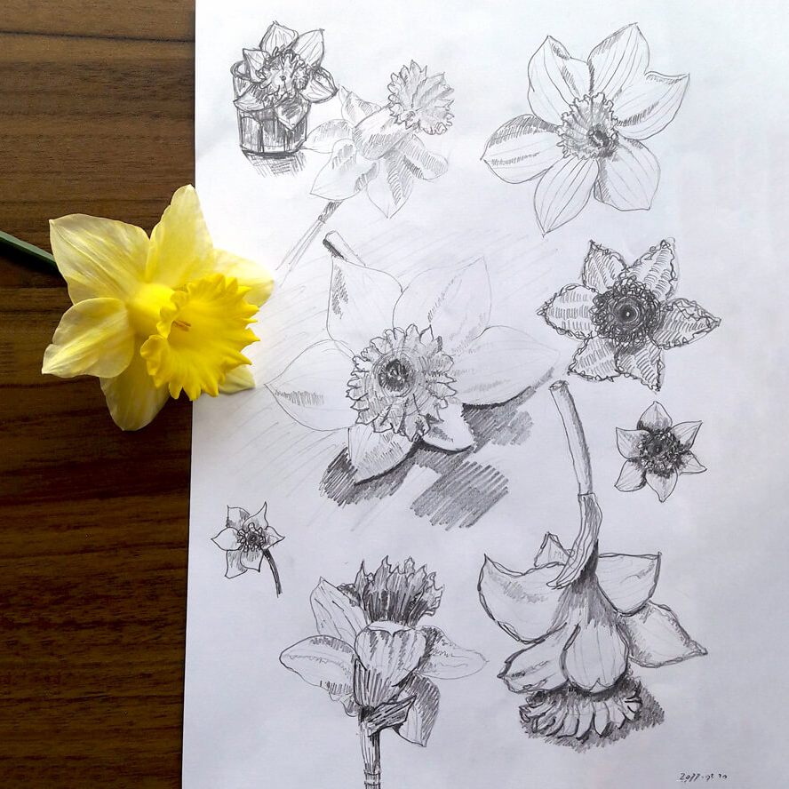 Two years ago I posted my first blog post on my website. Wrote about the importance of drawing practice, like this study about daffodil and lines.
👉tundeart.com/2022/04/10/onl…

#drawing #daffodil #tundeart #pencildrawing #artist