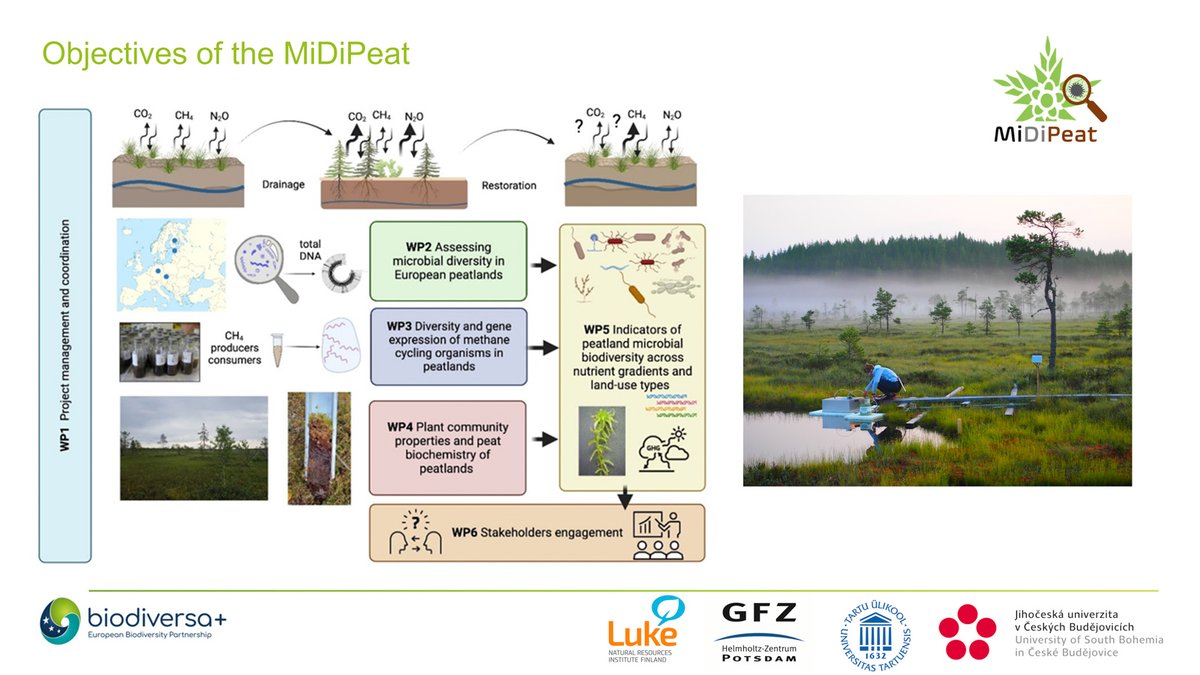 #MiDiPeat aims to assess hidden microbial diversity in European peatlands with different land-use types, from pristine to restored, and link it to vegetation and greenhouse gases fluxes. #BiodivMonTallinn