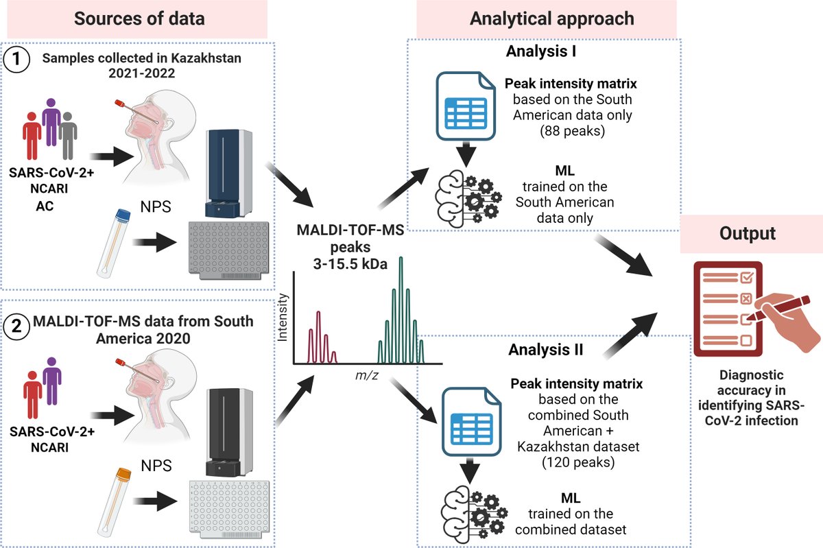 Excited to share the latest research on the cutting-edge application of MALDI-MS and machine learning for the detection of SARS-CoV-2 and other respiratory infections. journals.asm.org/doi/10.1128/sp…