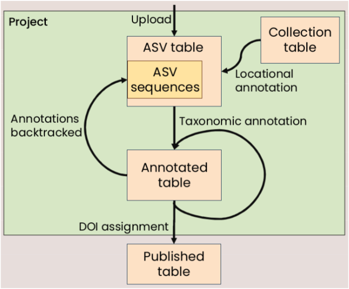 The ASV registry: a platform to register, manage and identify amplicon sequence variants or zero-radius OTUs against barcode reference datasets. ASV tables can be uploaded, managed, versioned, and published with DOIs. 🔗 doi.org/10.3897/arphap… #metabarcoding