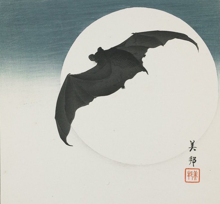 'Bat Before the Moon' - Biho Takashi, 1910. #BatAppreciationDay #JapaneseArt