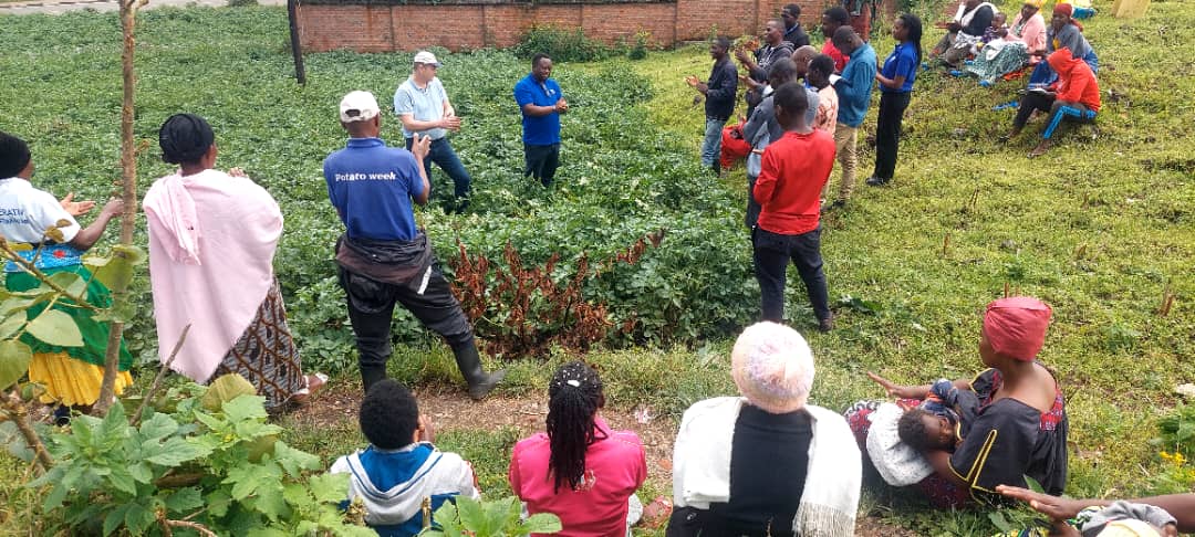 Farmers' Potato Academy (FPA) in Rwanda tweet media