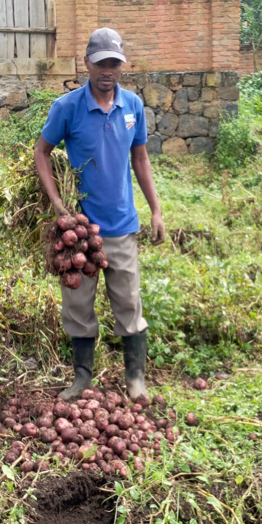 Farmers' Potato Academy (FPA) in Rwanda tweet media