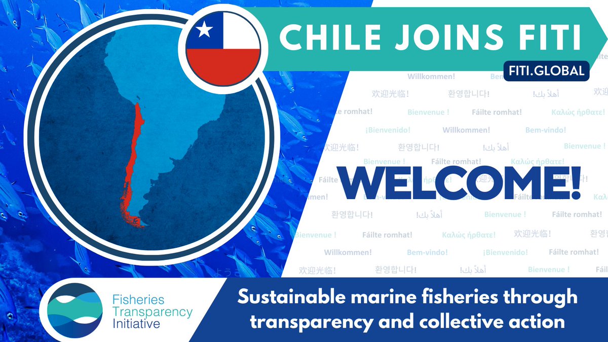 BREAKING NEWS: #Chile 🇨🇱 has publicly committed to join #FiTI! @OurOceanGreece, Dr. Rocío Parra Cortés, on behalf of the Under-Secretariat for Fisheries and Aquaculture, announced Chile's commitment to implement the #FiTIStandard! 🎉 ¡Bienvenido Chile! @SubpescaCL @MooreFound