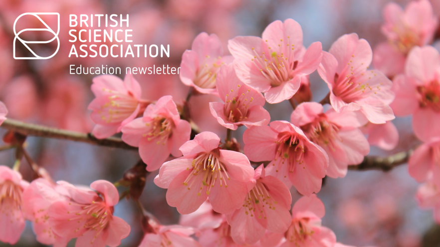 CRESTAwards's tweet photo. The April edition of the education newsletter is out now 🌺! You'll fine new videos featuring experts giving tips on how to run #CRESTAwards activities, news of a new CREST partner &amp; more!

https://t.co/rRrKf0GCwm

If you haven't already, subscribe here: https://t.co/FKfUtm9EV3 https://t.co/929zhrC2qb
