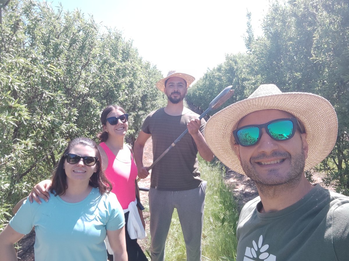zornoza_raul's tweet photo. We continue our field campaign in different orchards from central Spain to assess the effect of cover crops on soil functionality and carbon sequestration and storage #climcover project @CienciaGob @UPCToficial @etsiaupct @miriam_valverde @elena_samper @MohamedMdaini8 https://t.co/5yP0SrMKhf