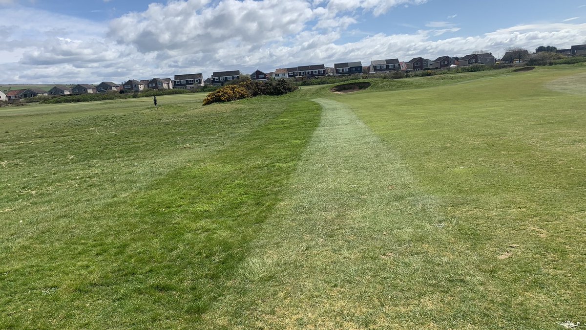 Steven🤟🏻 tweet media