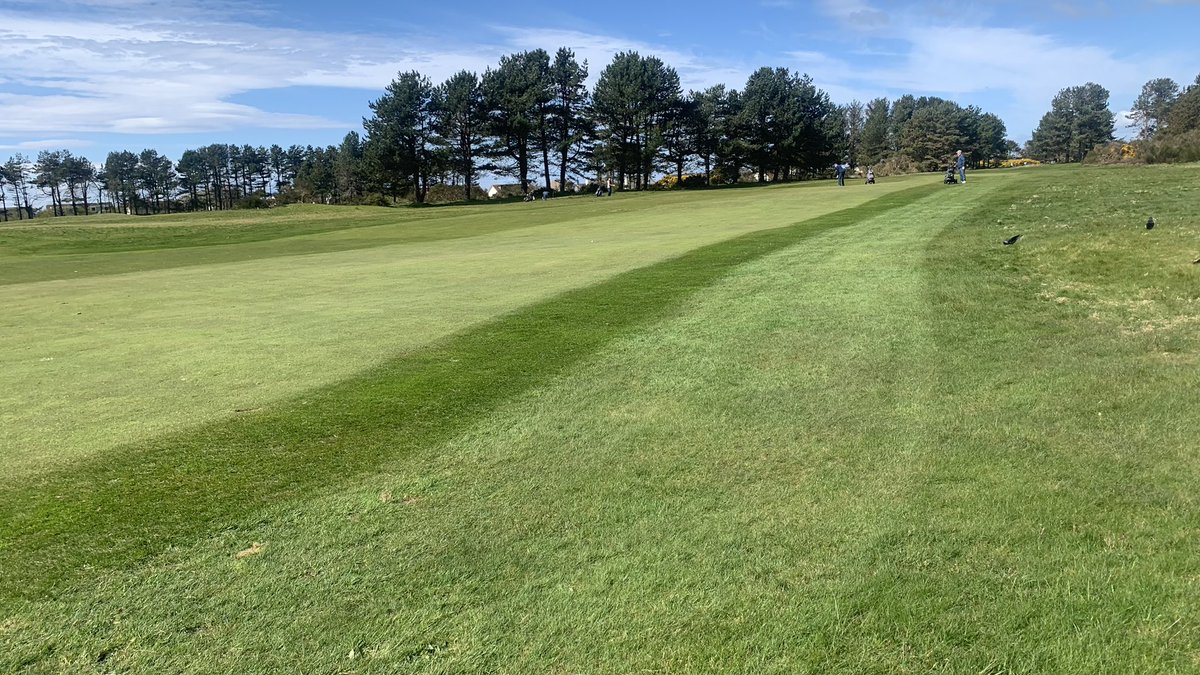 Steven🤟🏻 tweet media