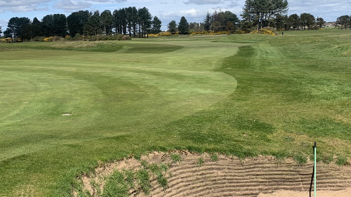 Steven🤟🏻 tweet media