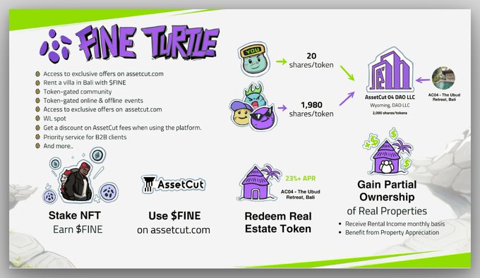 Fine Turtle: Dự án tiên phong kết hợp NFT  và RWA (Real-World Assets)