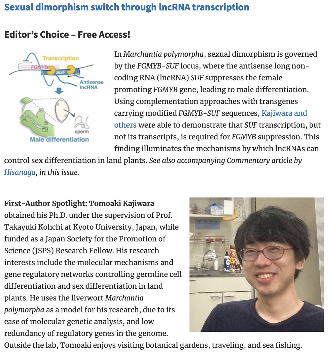 📗From PCP Latest Issue (65-3): Research Highlight Featuring First Author: Tomoaki Kajiwara💐 academic.oup.com/pcp/pages/rese… Sexual dimorphism switch through lncRNA transcription doi.org/10.1093/pcp/pc…