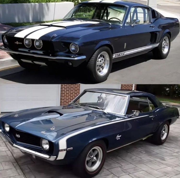 Shelby or Camaro ?