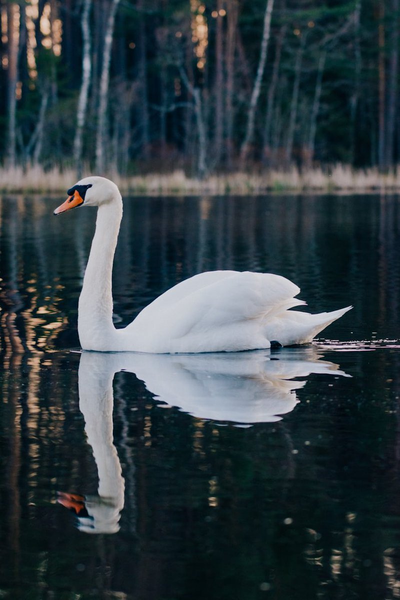 #vss365

Avarice ways
Selfish greed
Wants never filled 
Craving more than the need

Unsympathetic
Focus personal desire
Stunted in charity 
Selfish quest to acquire 

Gratitude lost 
Unaware it was gone
Endless tunnel of empty 
Final swan song