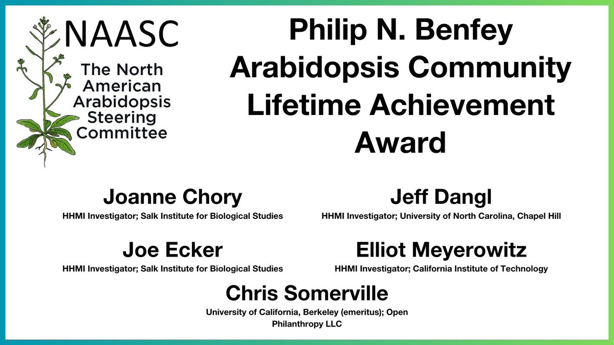 Congratulations to the recipients of the inaugural @NAASC_NA_ICAR Philip N. Benfey Arabidopsis Community Lifetime Achievement Award: Joanne Chory, Jeff Dangl, Joe Ecker, Elliot Meyerowitz, and Chris Somerville! 🔗 hhmi.news/3JG8etD