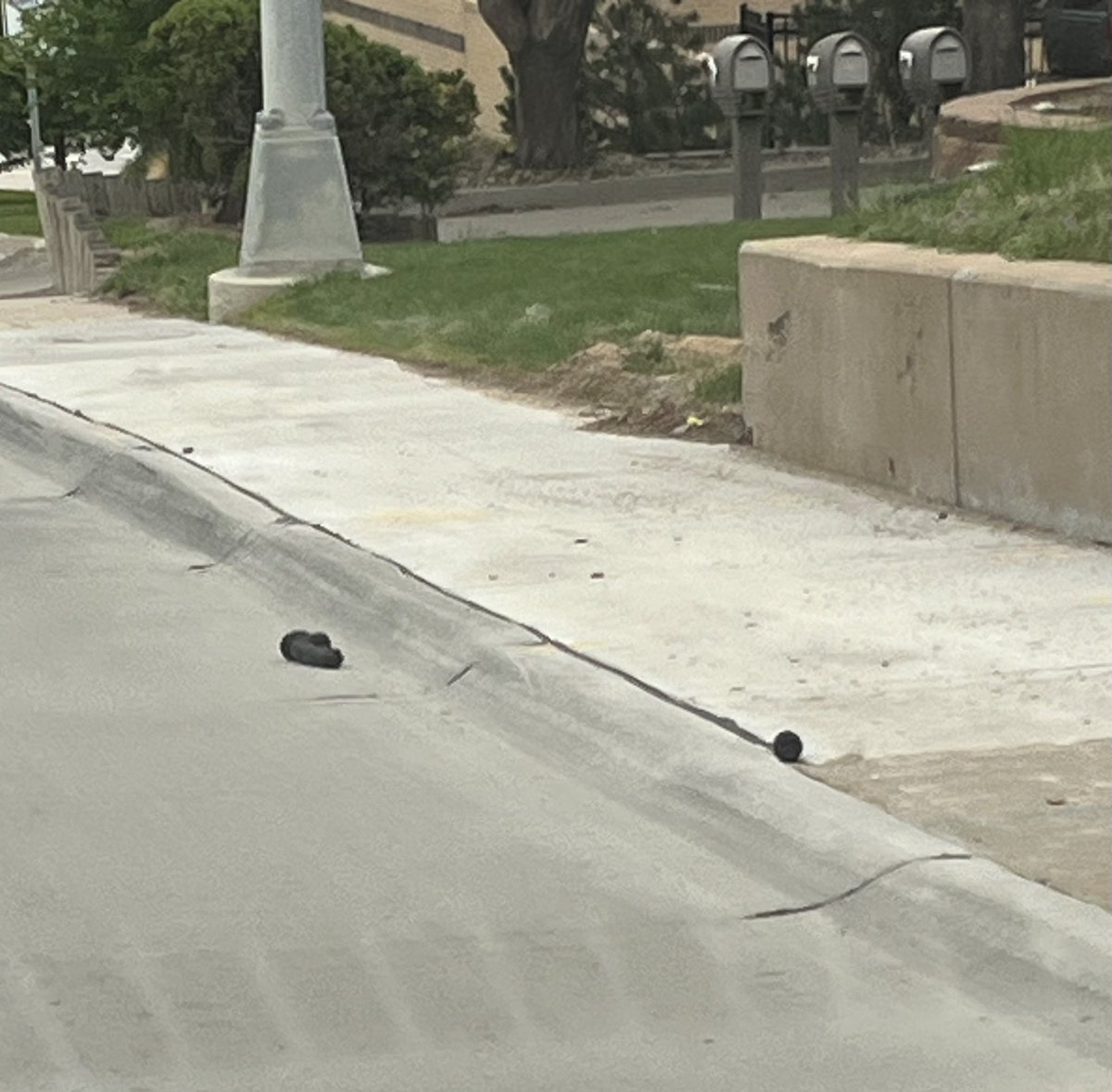 KarenCommunity's tweet photo. @omaha_scanner someone left their black dildo on the side of 42nd, south of Leavenworth. Can you please help find the rightful owner? https://t.co/XjDamjhLXX