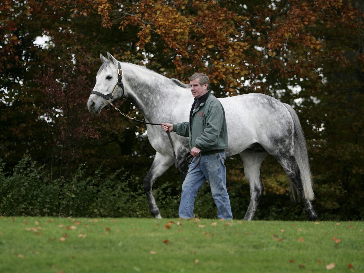 AgaKhanStuds's tweet photo. The late, great #Dalakhani has been the broodmare sire of 3โฃ 3yo Stakes winners in the past 4 days:
๐ฅ #Candala, Gr.3 Prix de la Grotte
๐ฅ Ramadan, Gr.3 Prix de Fontainebleau
๐ฅ Jayarebe, Listed Feilden Stakes https://t.co/a8UiI7moT1