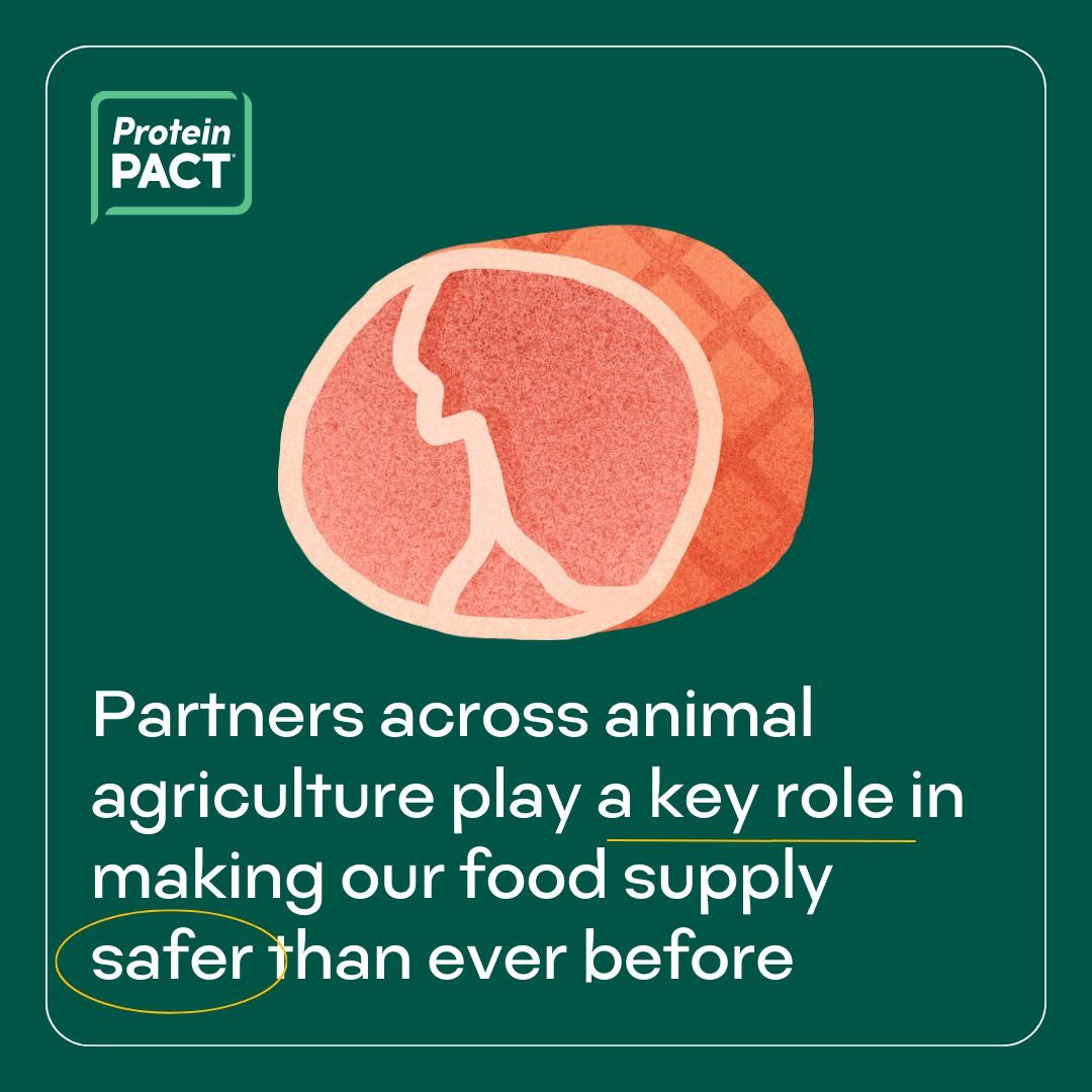 Partners across #AnimalAg play a key role in making our food supply safer than ever before. And we're committed to continuing to make safe food, without exception, as part of our #ProteinPACT vision.

buff.ly/3WjM1WR