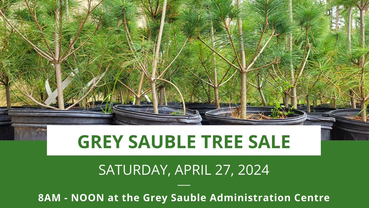 GreySauble's tweet photo. Saturday, April 27 from 8 am - noon at the Grey Sauble Admin Centre (237897 Inglis Falls Rd, Owen Sound). 

For more info: https://t.co/5m0Nb2CzeS  

Don't forget to bring a bag, bucket, or wagon to transport your seedlings and trees. https://t.co/gpUNv8n0ym