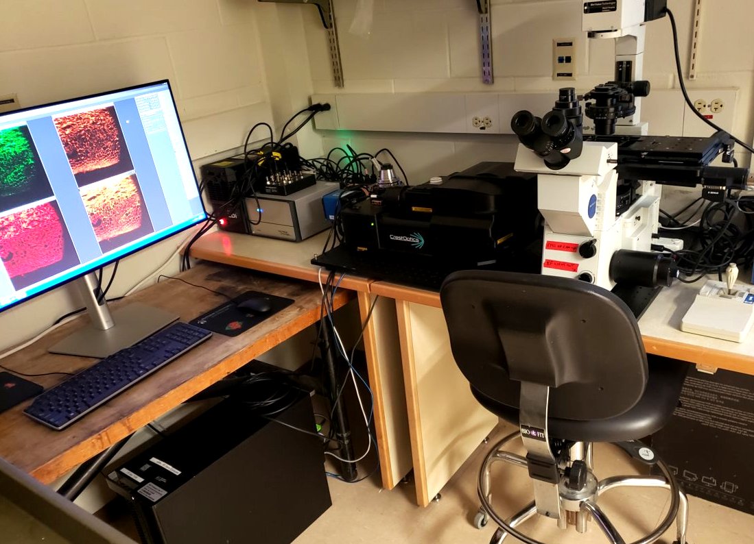 Thanks to @BioVisTech and Jim Paladino for featuring our X-Light V3 at the 'Cell & Developmental Biology of #Xenopus and Quantitative Imaging: From Acquisition to Analysis Microscopy Course' at Cold Spring Harbor Laboratory (CSHL) from April 2 to April 16, 2024!