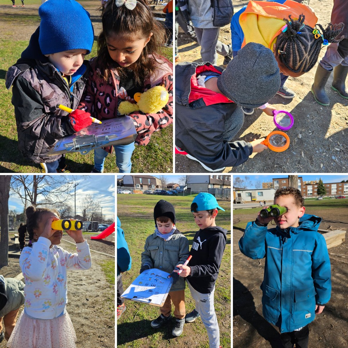 La chasse au trésor! It was a beautiful day to look for signs of 'le printemps' during outdoor Learning this morning! @StRitaOCSB @ocsbBonjour @ocsbEco