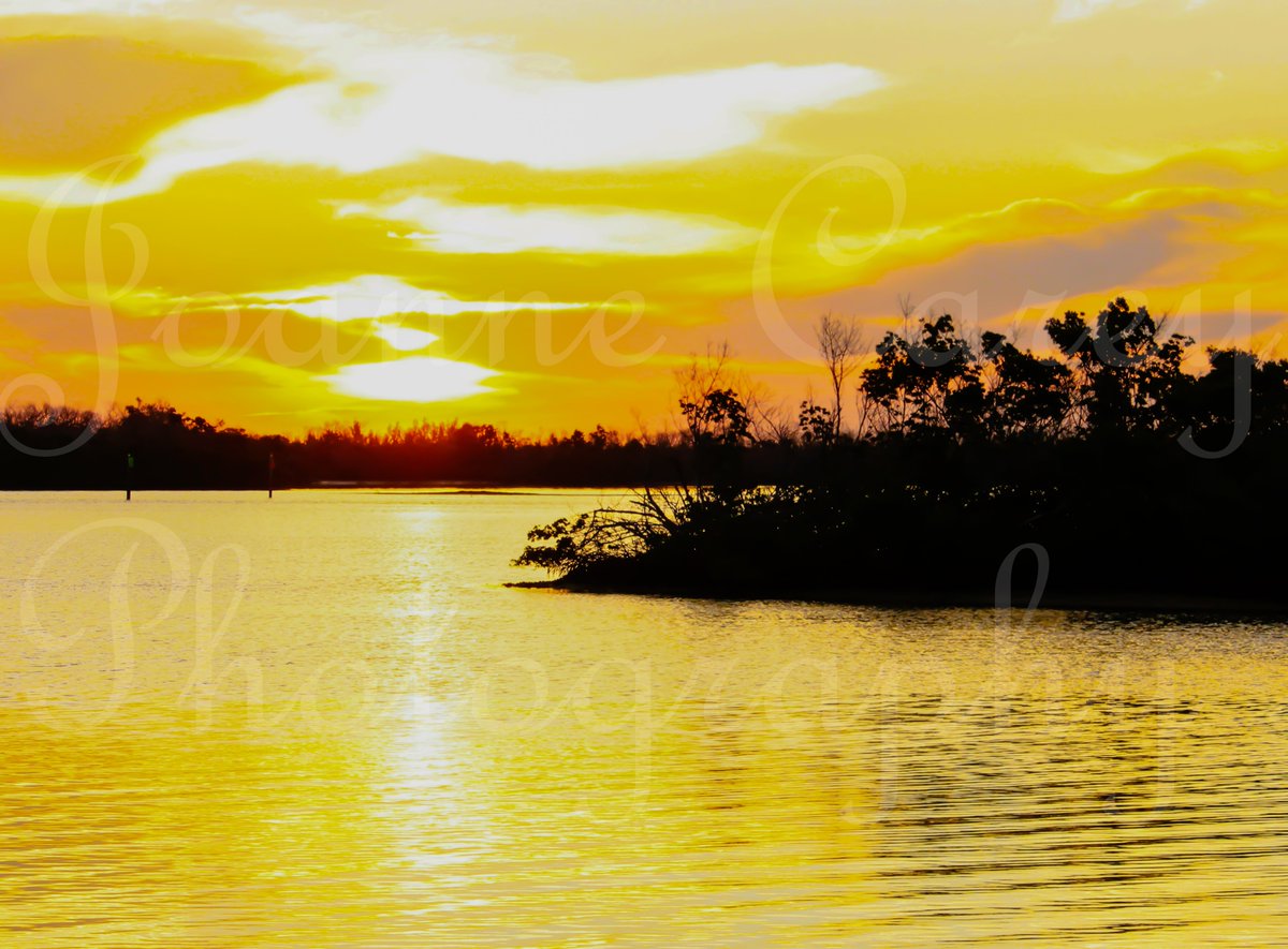 JoanneCarey64's tweet image. Hope everyone has a #HappyWednesday 💛💛💛
#sunrise #sunrisephotography #newday #NewBeginnings #NatureBeauty #itsthelittlethings