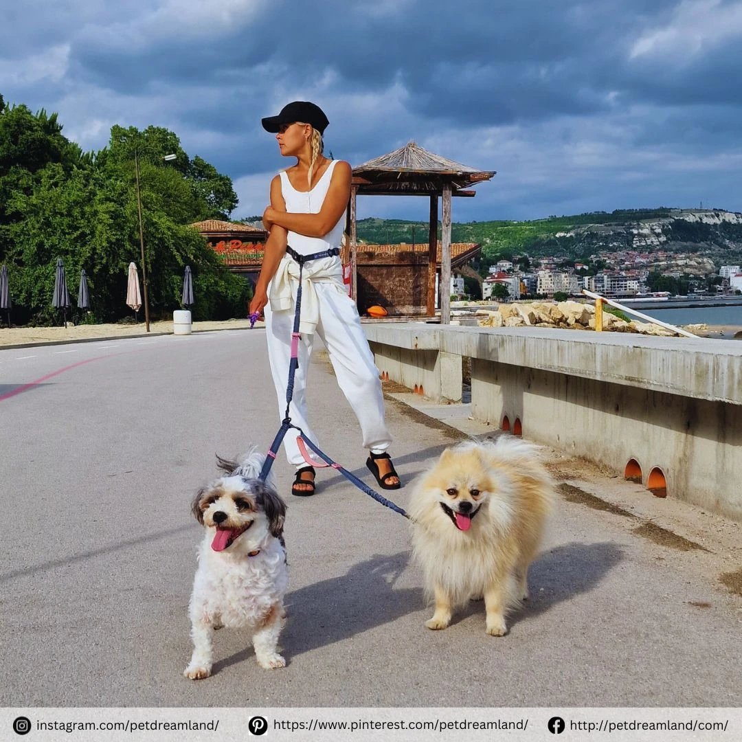 Midweek strolls have never looked so chic. Who else loves a stylish, tangle-free tandem walk? 👠🐕🦺

#dogstagram #dogsdaily #dogwalking #dogadventures #dogleash #dogrunning #dogtraining #spring #petsupplies #pets #dogleash #petproducts #doglovers #petdreamland