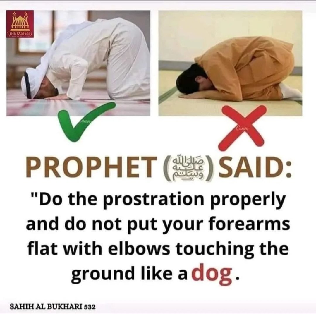 fiicanow's tweet photo. Assalam o Alaikum 😊 
Beshak.❤️ 
𝗚𝗼𝗼𝗱 𝗻𝗶𝗴𝗵𝘁🌃✨

Sahih bukhari:532 https://t.co/M5EGhEoyMR