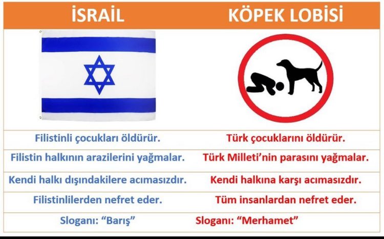 <a href="/nedimsener2010/">Nedim Şener 🇹🇷</a> Allah razı olsun Nedim bey,gündüz çocuklar markete,okula gidemez,parkta dahi koşturamaz her taraf köpek dolu,gece uyutmazlar,bayram tatili yola srekli köpek fırladı,işe motorla gidiyorum hergün korku filmi yşyrum,devlet hala duyarsız ve birkaç ittaparın korkusundan toplayamıyor