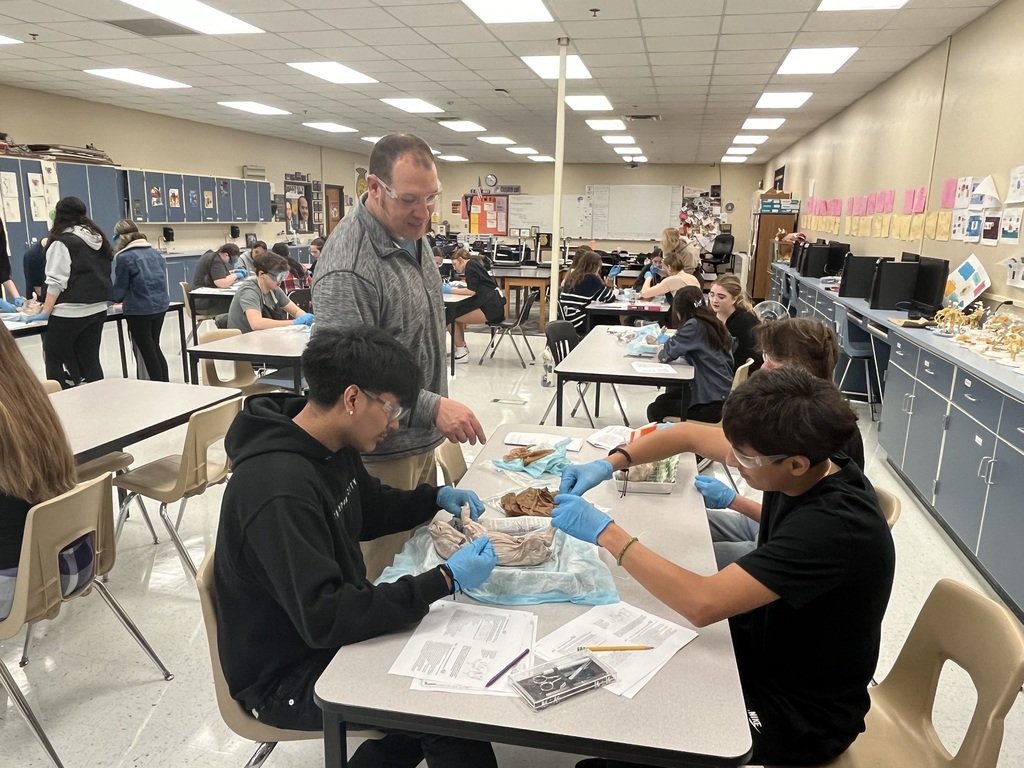 WACC Warsaw tweet media